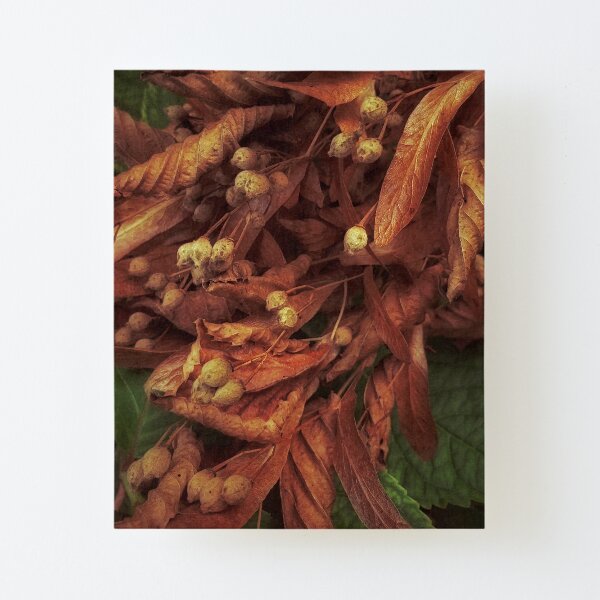 Autumn cascade Canvas Mounted Print