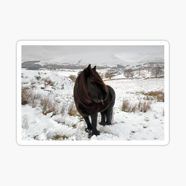 Item preview, Just another day for a Lakeland Fell pony designed and sold by Martin Lawrence.