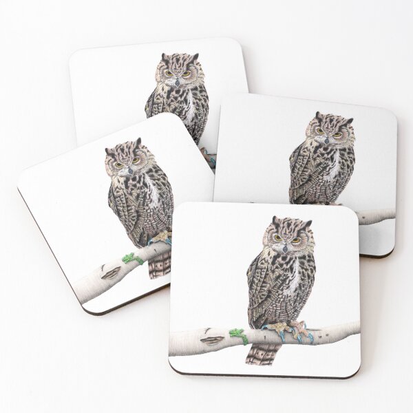 Eagle Owl Coasters (Set of 4)
