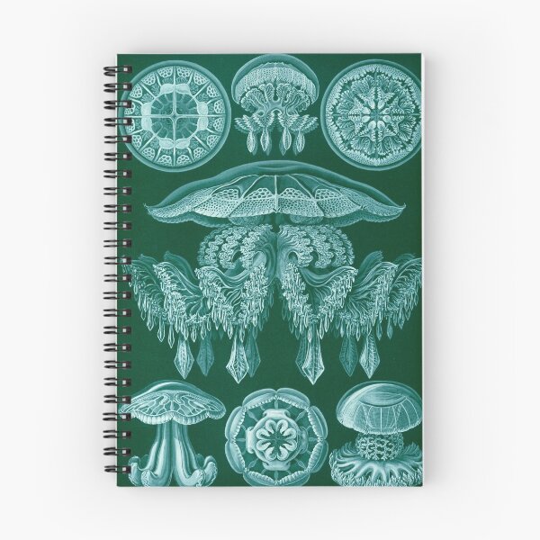 Item preview, Medusa II - Haeckel 1904 designed and sold by CRHerrera.