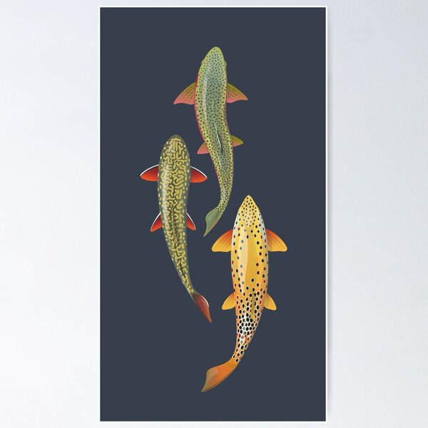 Brown Trout Posters for Sale