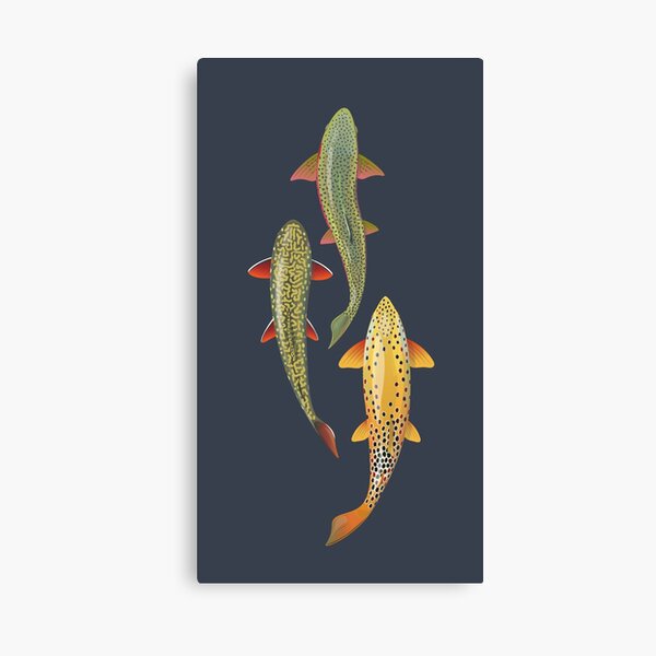 Brook Trout & Royal Coachman Gallery Wrapped Canvas – Wild Wings