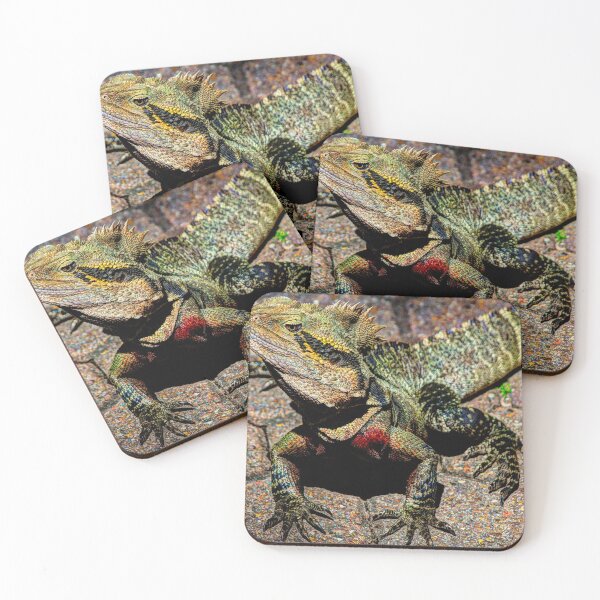 Item preview, Lizard on the prowl designed and sold by Blackadder Photography.