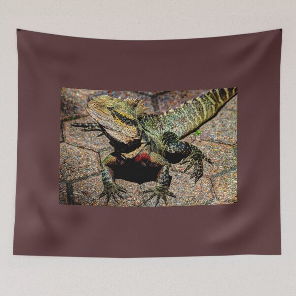 Item preview, Lizard on the prowl designed and sold by Blackadder Photography.