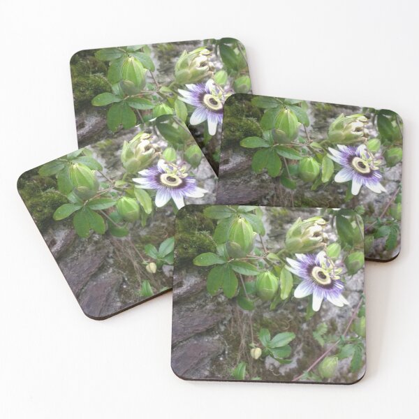 Item preview, purple flower designed and sold by XaviCarter.
