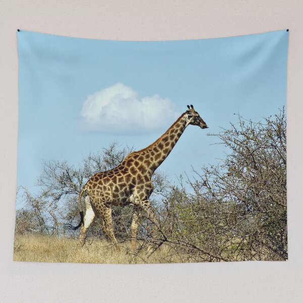 Item preview, Giraffe Walking in the Wild, Kruger national park, South Africa  designed and sold by worldways.