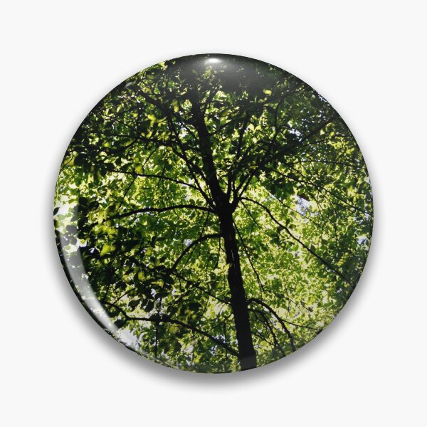 Item preview, in the shade, looking up designed and sold by dnparker.