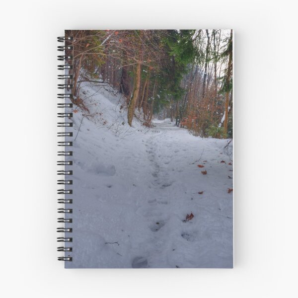 Item preview, Bludenz (Vorarlberg, Austria) designed and sold by PeterCseke.