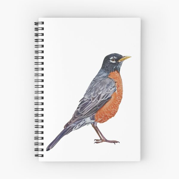 Item preview, American Robin - bird painting (no background) designed and sold by Emily Bickell.