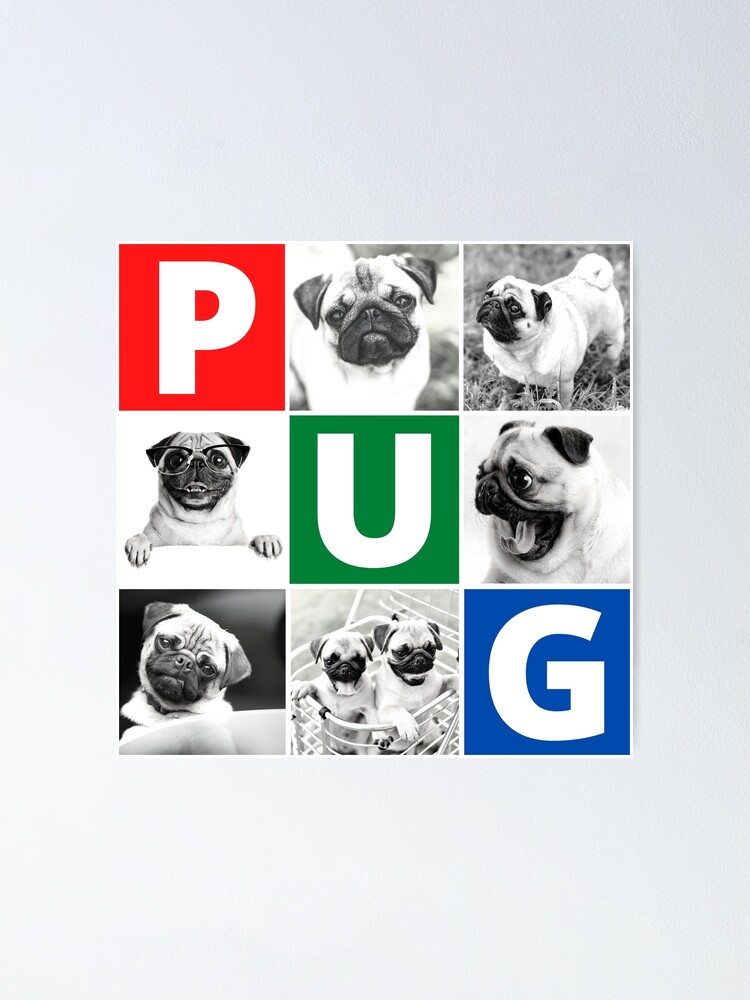 Thumbnail 1 of 3, Poster, Pug Life designed and sold by devilmaycorp.