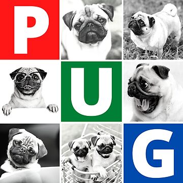 Artwork thumbnail, Pug Life by devilmaycorp