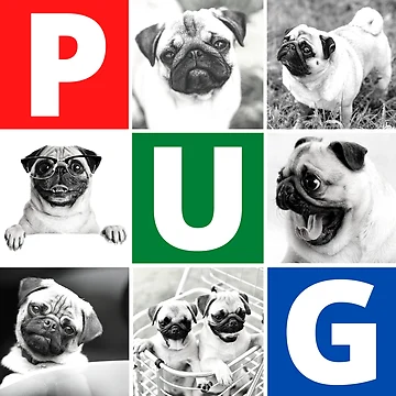 Artwork thumbnail, Pug Life by devilmaycorp