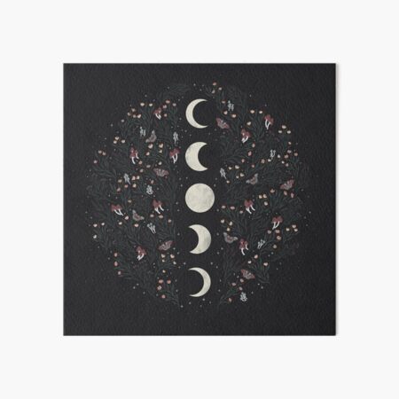 Moon Phases with Botanicals and Stars Art Board Print