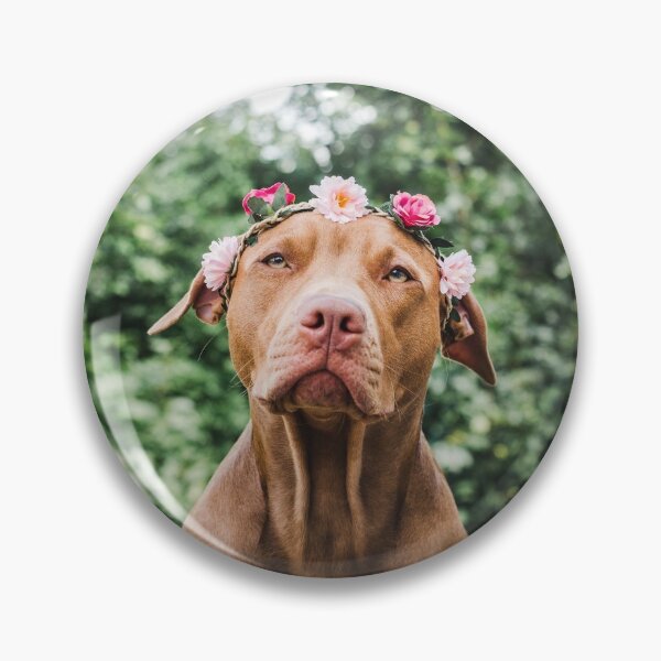 Item preview, PITBULL designed and sold by Isabel Navea.