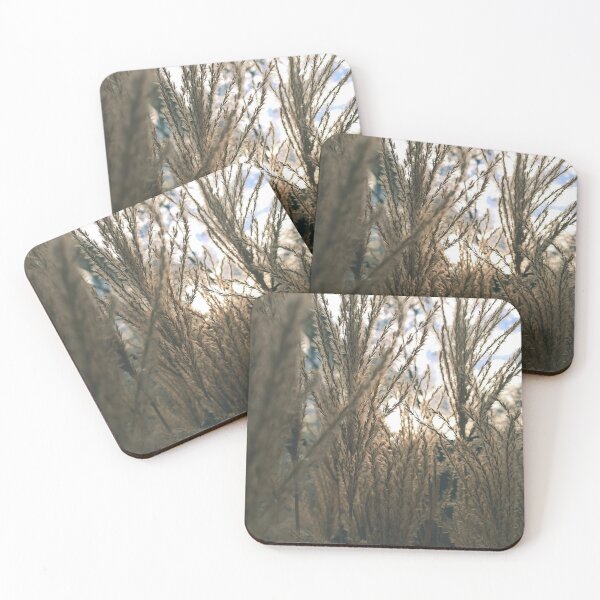 Item preview, Maiden silvergrass in the autumn sun designed and sold by greatnorris.
