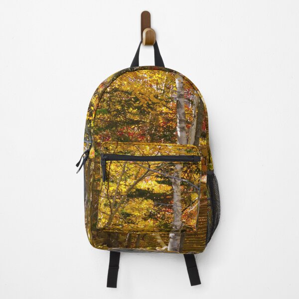 Item preview, Autumn Stairway - Acadia National Park designed and sold by StepherNicole.