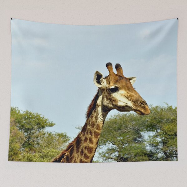 Item preview, Old Giraffe in the Wild portrait, Kruger national park, South Africa  designed and sold by worldways.