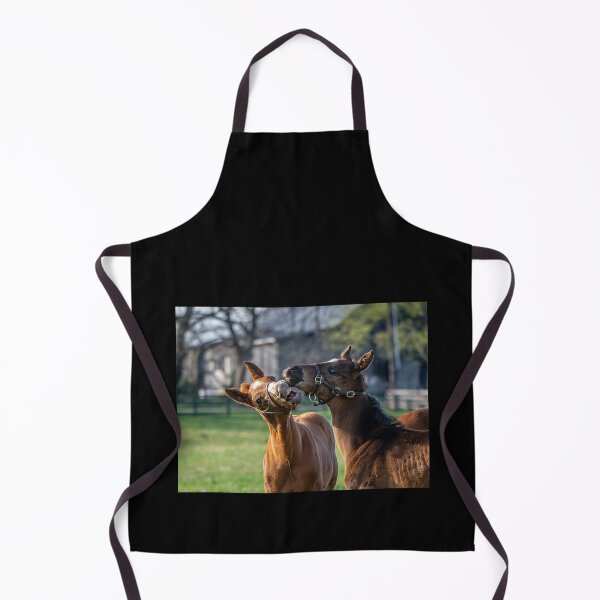Item preview, Thoroughbred colts playing designed and sold by Mimi Foley.