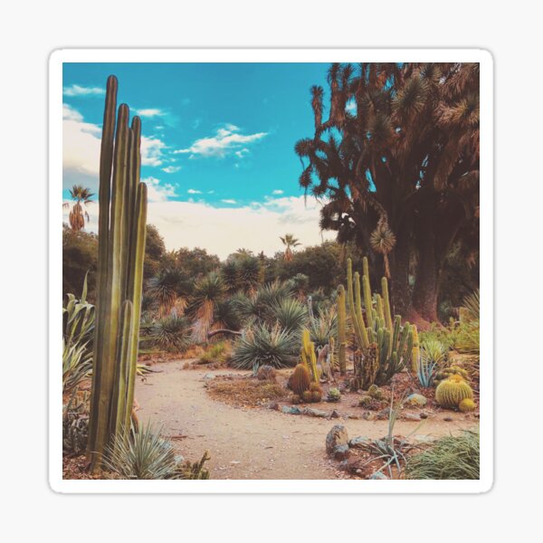 Oasis Sticker