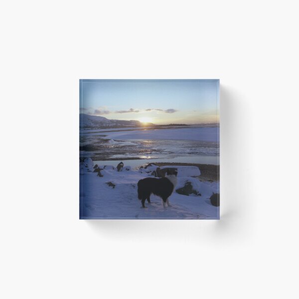 Item preview, Sunset Snow with Indy designed and sold by Michael Haslam.