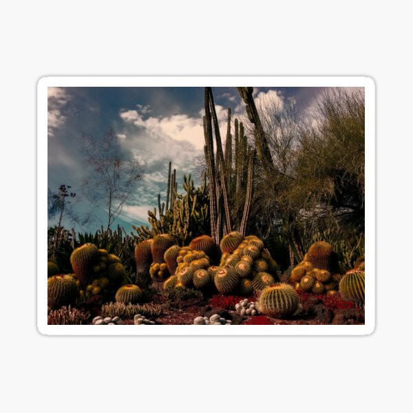Desert Garden Sticker