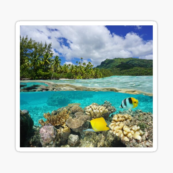 Item preview, Above and below surface lagoon French Polynesia designed and sold by Seaphotoart.