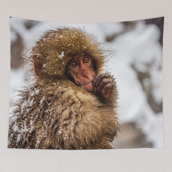 Item preview, Snow monkey designed and sold by TTAN.