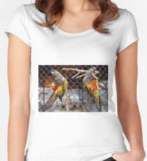 Parrot Women's Fitted Scoop T-Shirt
