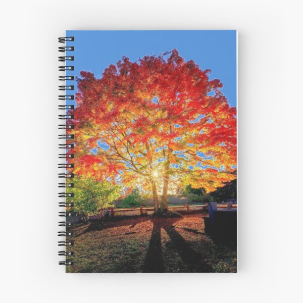 Item preview, The sun through the tree. designed and sold by Karine Dupras.