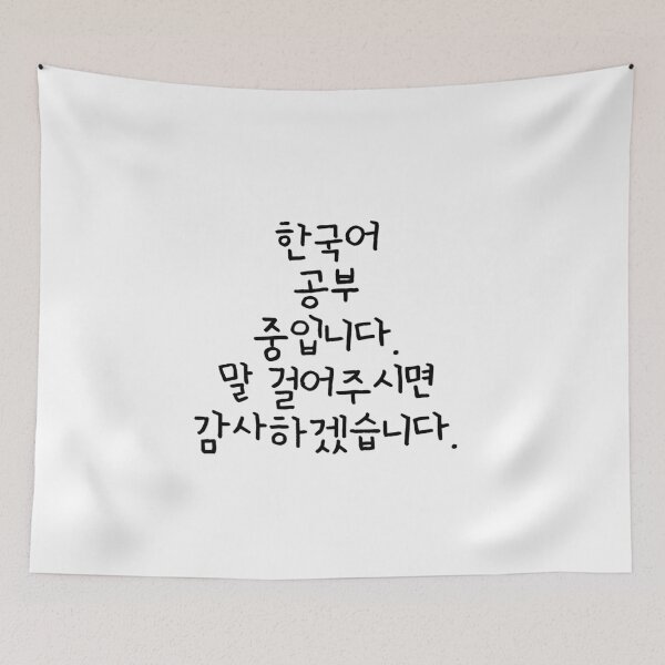 Item preview, I'm studying Korean. Appreciated if you talk to me. (written in Korean) designed and sold by K-LetterCo.