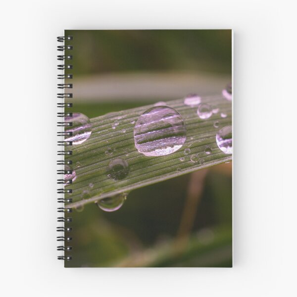 Aperçu de l'œuvre Rain drops on grass - nature, floral print / Macro photo créée et vendue par Very Peculiar.