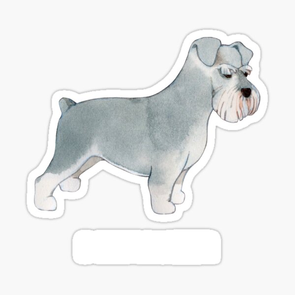 miniature schnauzer pyjamas