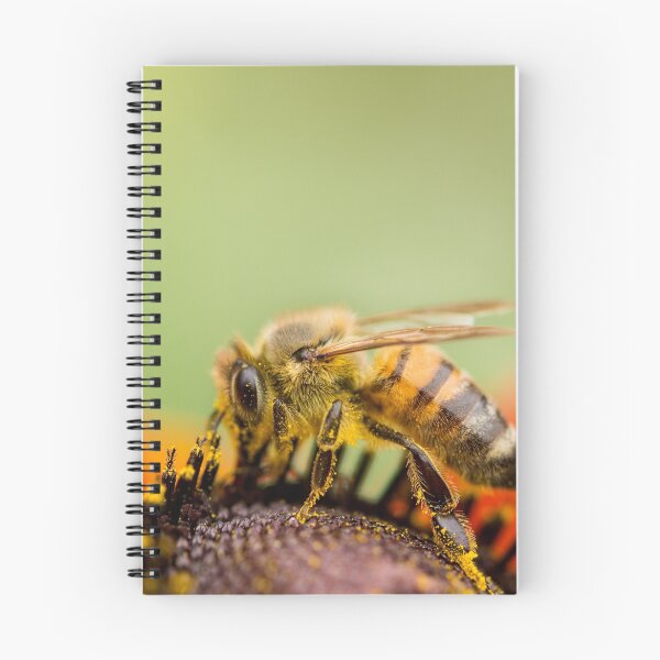 Item preview, Collecting Pollen designed and sold by Ellesscee.