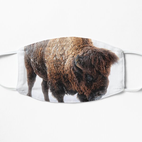 American Bison In Snow Mask