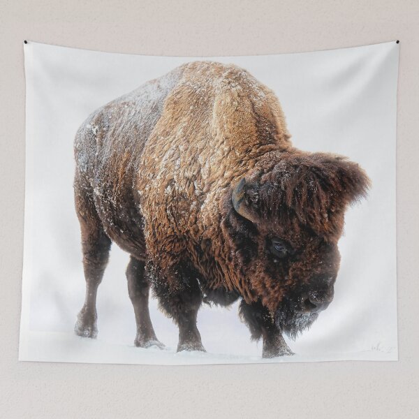 Item preview, An American Bison Moves Through a Winter Snowstorm designed and sold by Rocky Mountain Artistry.