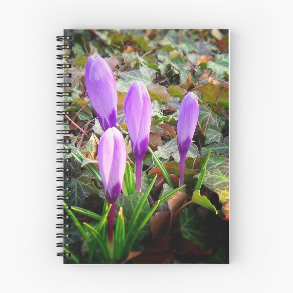Item preview,  *Wake up, spring is near* designed and sold by Eugenio.