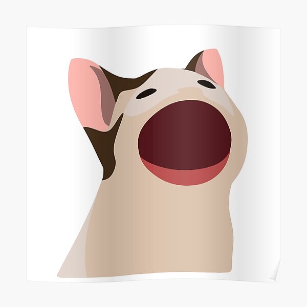 Pog Cat Posters | Redbubble