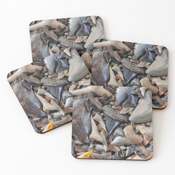 Item preview, Shark Teeth Fossils Shark Tooth Fossil Megalodon Great White designed and sold by PaleoArtistry.