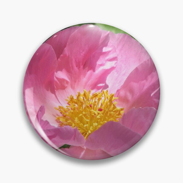 Artikelvorschau, Pink Flower entworfen und verkauft von David D. Shaw.