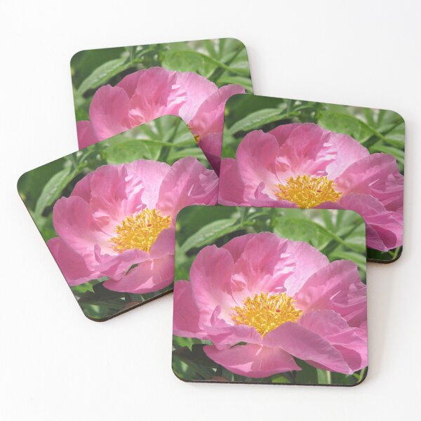 Item preview, Pink Flower designed and sold by David D. Shaw.
