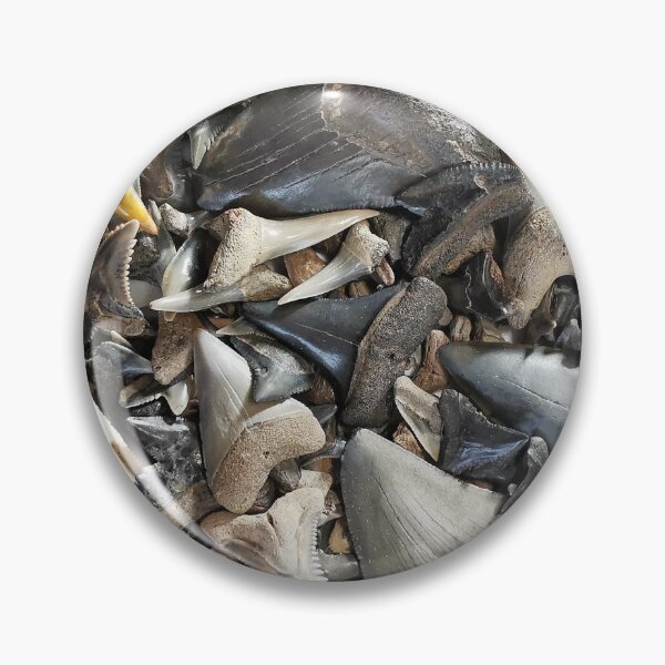 Item preview, Shark Teeth Mask Fossils Shark Tooth Fossil Megalodon Great White designed and sold by PaleoArtistry.