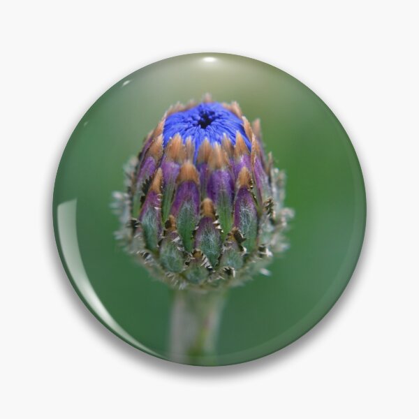 Item preview, Up and coming Cornflower 2 designed and sold by Deborah Clearwater.