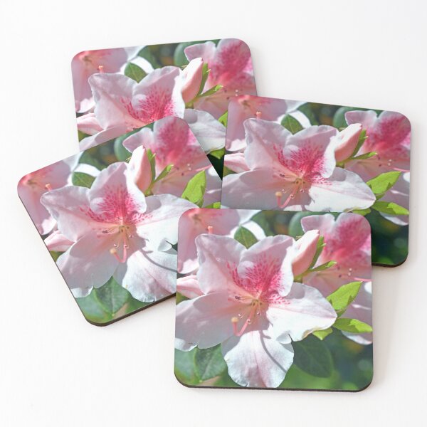 Item preview, Encore Azalea Flowers designed and sold by BiscuitSnack.