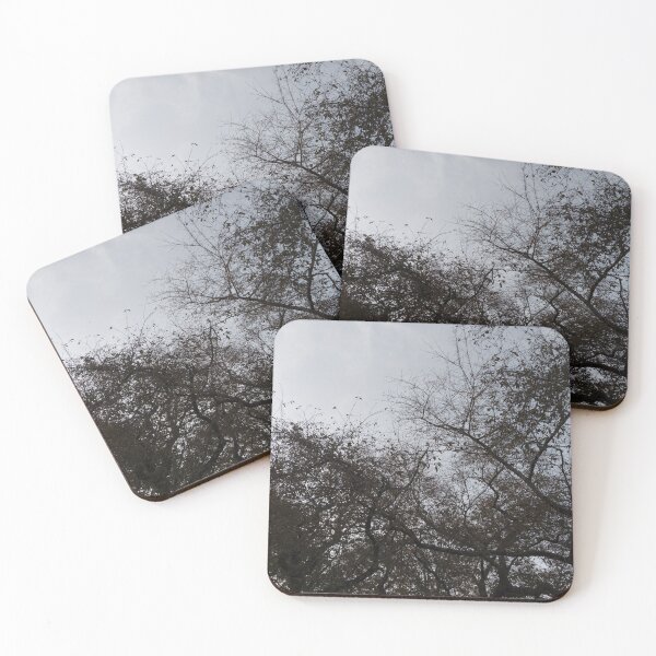 Item preview, Trees in the Evening Sky designed and sold by Jeremy Schwartz.