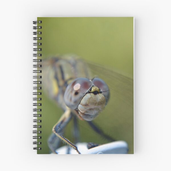 Item preview, Smile Mr Dragonfly designed and sold by Deborah Clearwater.
