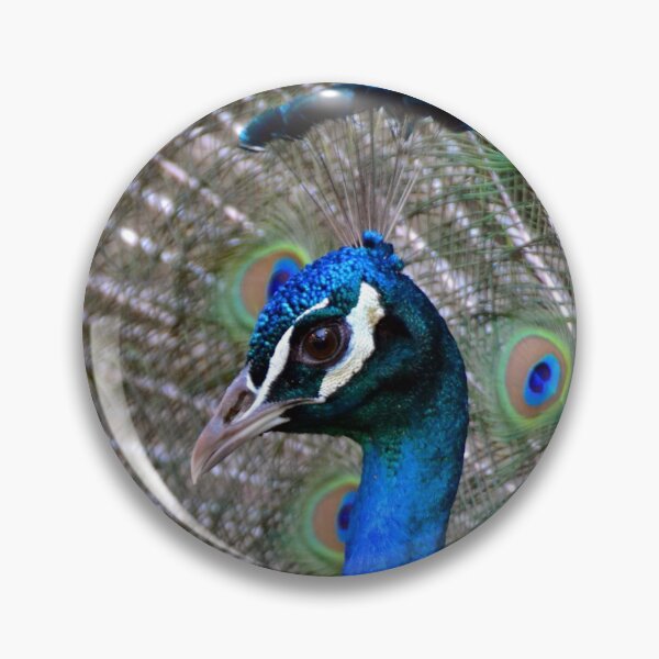 Item preview, Brilliant Blue designed and sold by Deborah Clearwater.