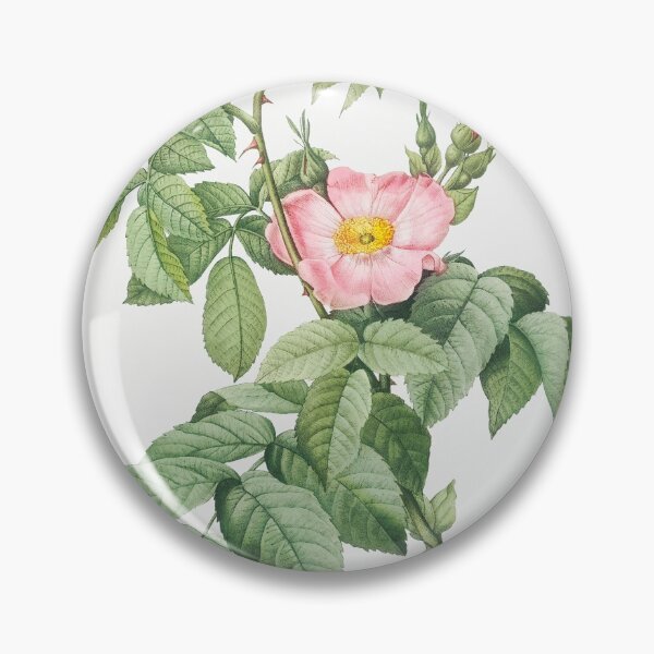 Item preview, Les Roses by Pierre-Joseph Redouté designed and sold by EsotericBotanic.