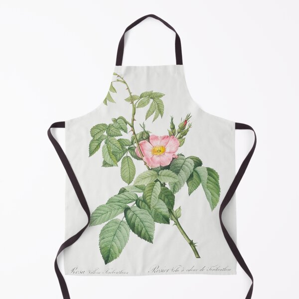 Item preview, Les Roses by Pierre-Joseph Redouté designed and sold by EsotericBotanic.