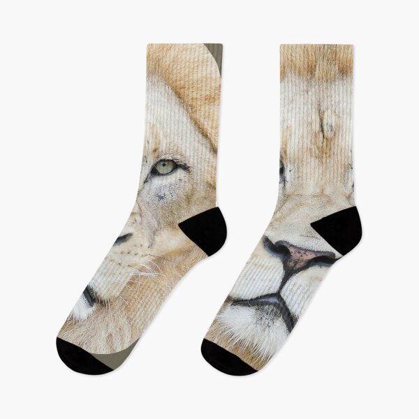 Item preview, Lion designed and sold by Raccoonidae.