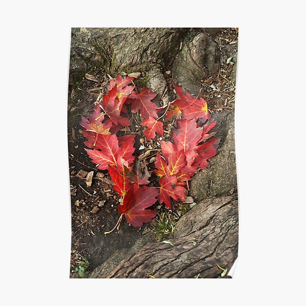 the heart of autumn Poster